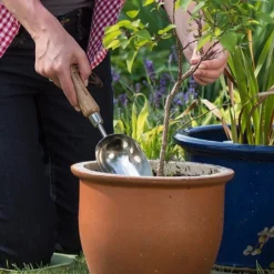 New Products -Elho || Westland || KOOPMAN Sales 1002024 1