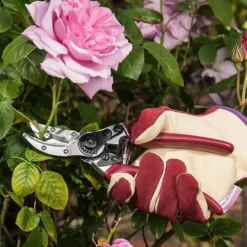 Kent & Stowe Rose Cut & Hold Secateurs -Elho || Westland || KOOPMAN Sales 1031091 2