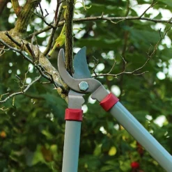 Kent & Stowe General Purpose Loppers -Elho || Westland || KOOPMAN Sales 1031094 3
