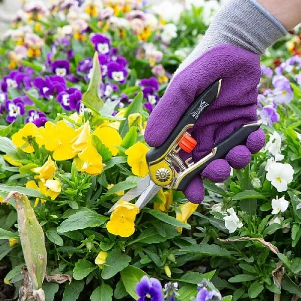 Wilkinson Sword Precision Pruner Twin Pack 2 Wilkinson Sword Precision Pruner Twin Pack - Image 2