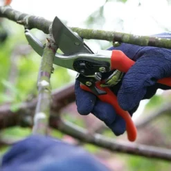 Wilkinson Sword Folding Pruner Saw & Pruner Set -Elho || Westland || KOOPMAN Sales 1140375 2