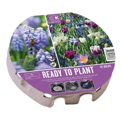 Bio Diversity Ready To Plant Tray 38cm (45 Bulbs)