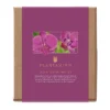 Plantsmith Orchid Care Gift Box Feed & Mist