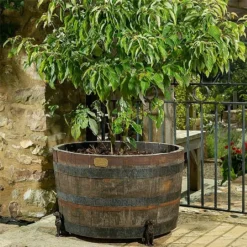 Jardinopia Plant Pot Feet Bronze Labrador - Set Of 3 -Elho || Westland || KOOPMAN Sales 1177293 3