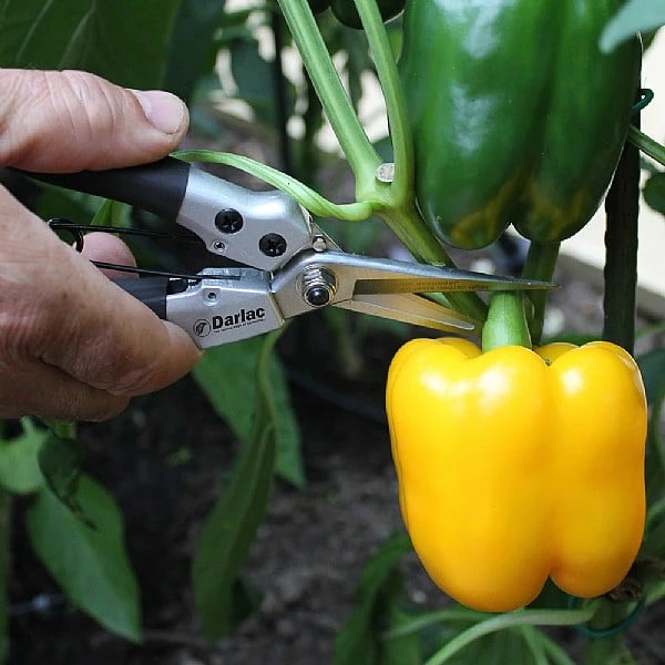 Darlac Compact Snips 2 Darlac Compact Snips - Image 2