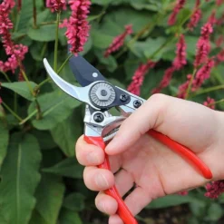 Darlac Small Bypass Pruner -Elho || Westland || KOOPMAN Sales 1202088 3