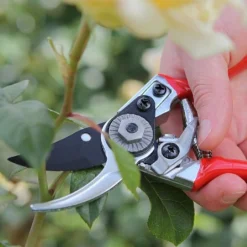 Darlac Small Bypass Pruner -Elho || Westland || KOOPMAN Sales 1202088 4