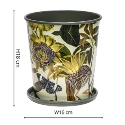 Kew Botanical Retreat Planter With Saucer 16cm 7 Kew Botanical Retreat Planter With Saucer 16cm -Elho || Westland || KOOPMAN Sales 1227745 3