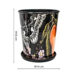 Kew Eclectic Orangery Planter With Saucer 14cm 6 Kew Eclectic Orangery Planter With Saucer 14cm -Elho || Westland || KOOPMAN Sales 1227766 3