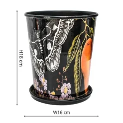 Kew Eclectic Orangery Planter With Saucer 16cm 6 Kew Eclectic Orangery Planter With Saucer 16cm -Elho || Westland || KOOPMAN Sales 1227767 3