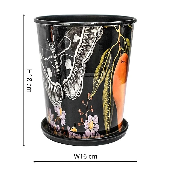 Kew Eclectic Orangery Planter With Saucer 16cm 3 Kew Eclectic Orangery Planter With Saucer 16cm - Image 3