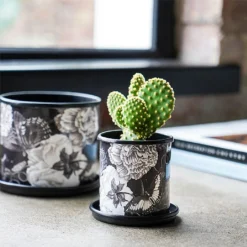 Kew Eclectic Orangery Noir Planter With Saucer 13cm 8 Kew Eclectic Orangery Noir Planter With Saucer 13cm -Elho || Westland || KOOPMAN Sales 1227769 4