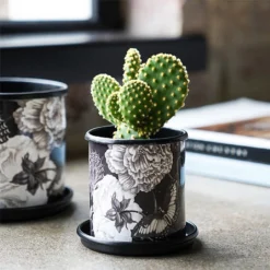 Kew Eclectic Orangery Noir Tall Planter With Saucer 13cm -Elho || Westland || KOOPMAN Sales 1227770 3