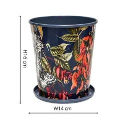 Kew Temperate House Planter With Saucer 14cm 8 Kew Temperate House Planter With Saucer 14cm -Elho || Westland || KOOPMAN Sales 1227771 4