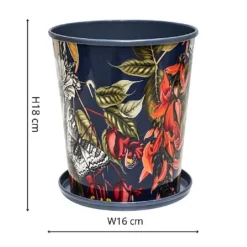 Kew Temperate House Planter With Saucer 16cm -Elho || Westland || KOOPMAN Sales 1227772 4