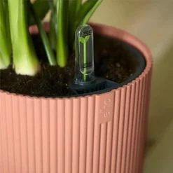 Elho Vibes Fold Round Planter 22cm Delicate Pink -Elho || Westland || KOOPMAN Sales 1230824 3