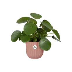 Elho Vibes Fold Round Planter 22cm Delicate Pink -Elho || Westland || KOOPMAN Sales 1230824 4
