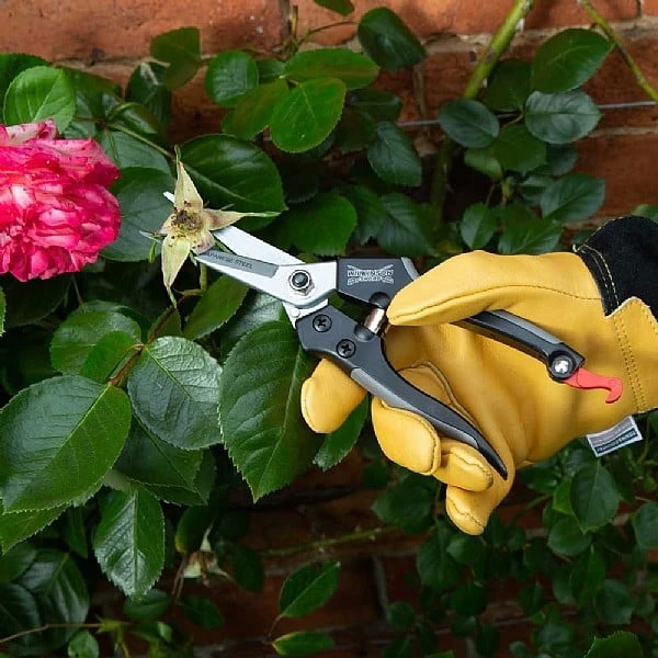 Wilkinson Sword Straight Pruning Snips 2 Wilkinson Sword Straight Pruning Snips - Image 2