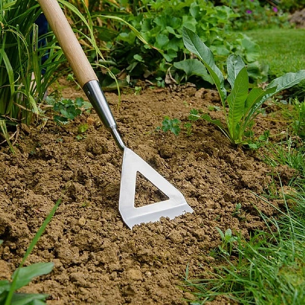 Kent & Stowe Garden Life Stainless Steel Dutch Hoe 2 Kent & Stowe Garden Life Stainless Steel Dutch Hoe - Image 2