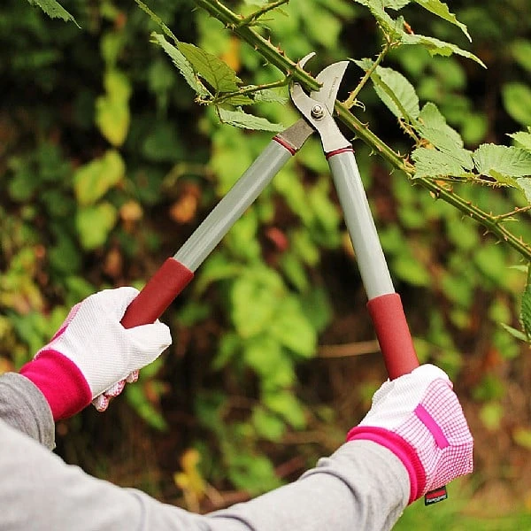 Kent & Stowe Garden Life Bypass Loppers 2 Kent & Stowe Garden Life Bypass Loppers - Image 2