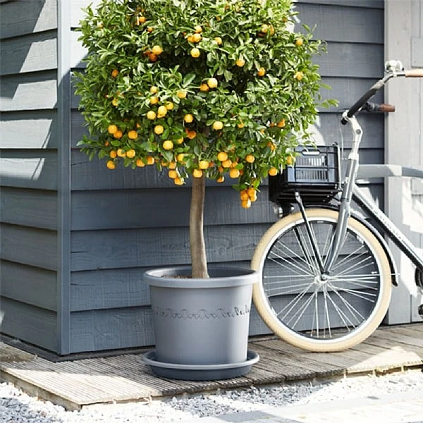 Elho Algarve Cilindro Planter With Wheels 40cm 1 Elho Algarve Cilindro Planter With Wheels 40cm