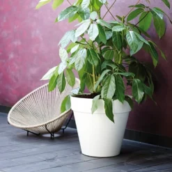 Elho Loft Urban Round Pot With Wheels 40cm - Various Colours