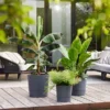 Elho Greensense Aqua Care Round Planter 35cm (Various Colours)