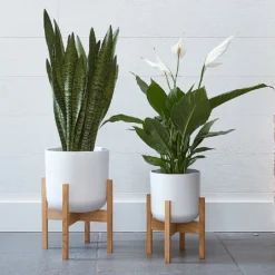 Ivyline Lisbon Pot And Stand White (Various Sizes) -Elho || Westland || KOOPMAN Sales IVLISPSTWH 3