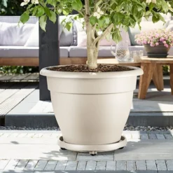 Elho Universal Planttaxi Planter 40cm (Various Colours)